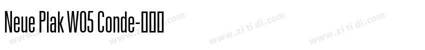 Neue Plak W05 Conde字体转换